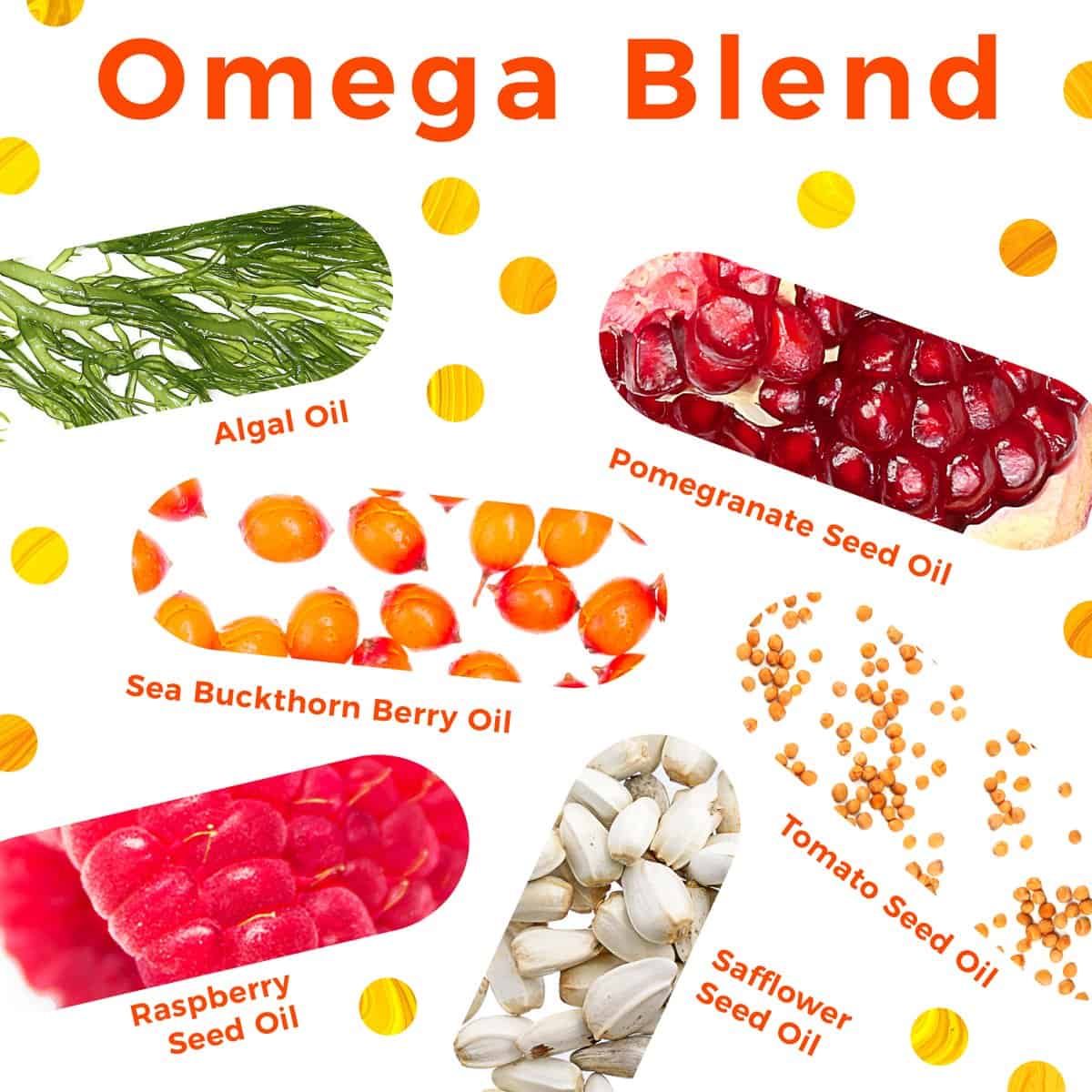 Quels sont les aliments et solutions riches en Omégas ? Coaching